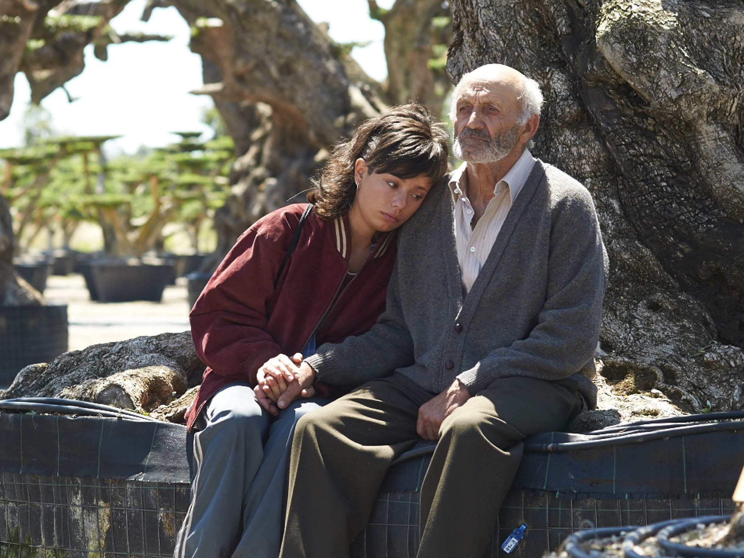 Spanish Film Festival in Cambodia // El Olivo (The Olive Tree)