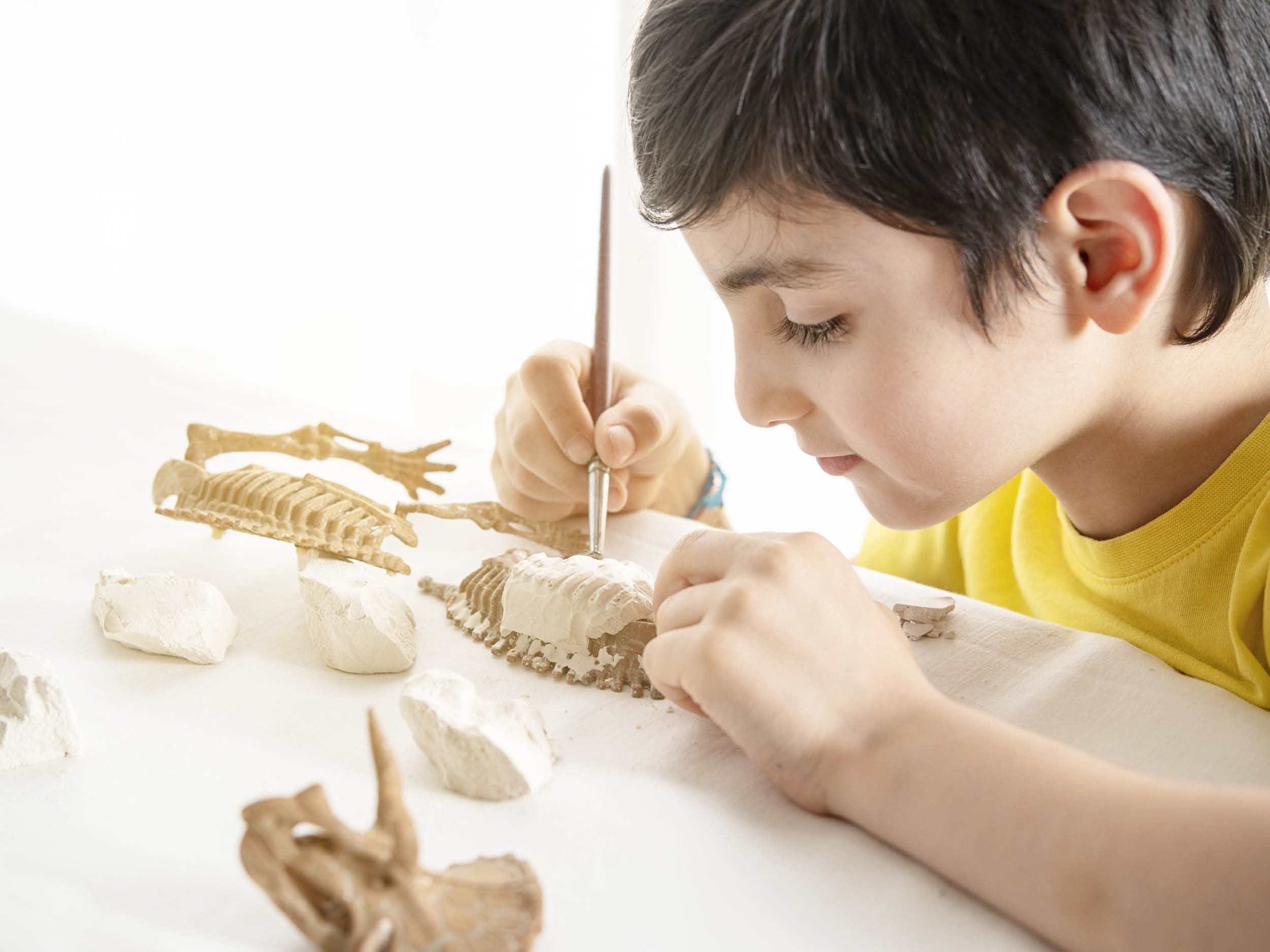 Cin'atelier "Fossile en plâtre" // សិក្ខាសាលាភាពយន្ត​ "ហ្វូស៊ីលអំពីម្នាងសិលា"