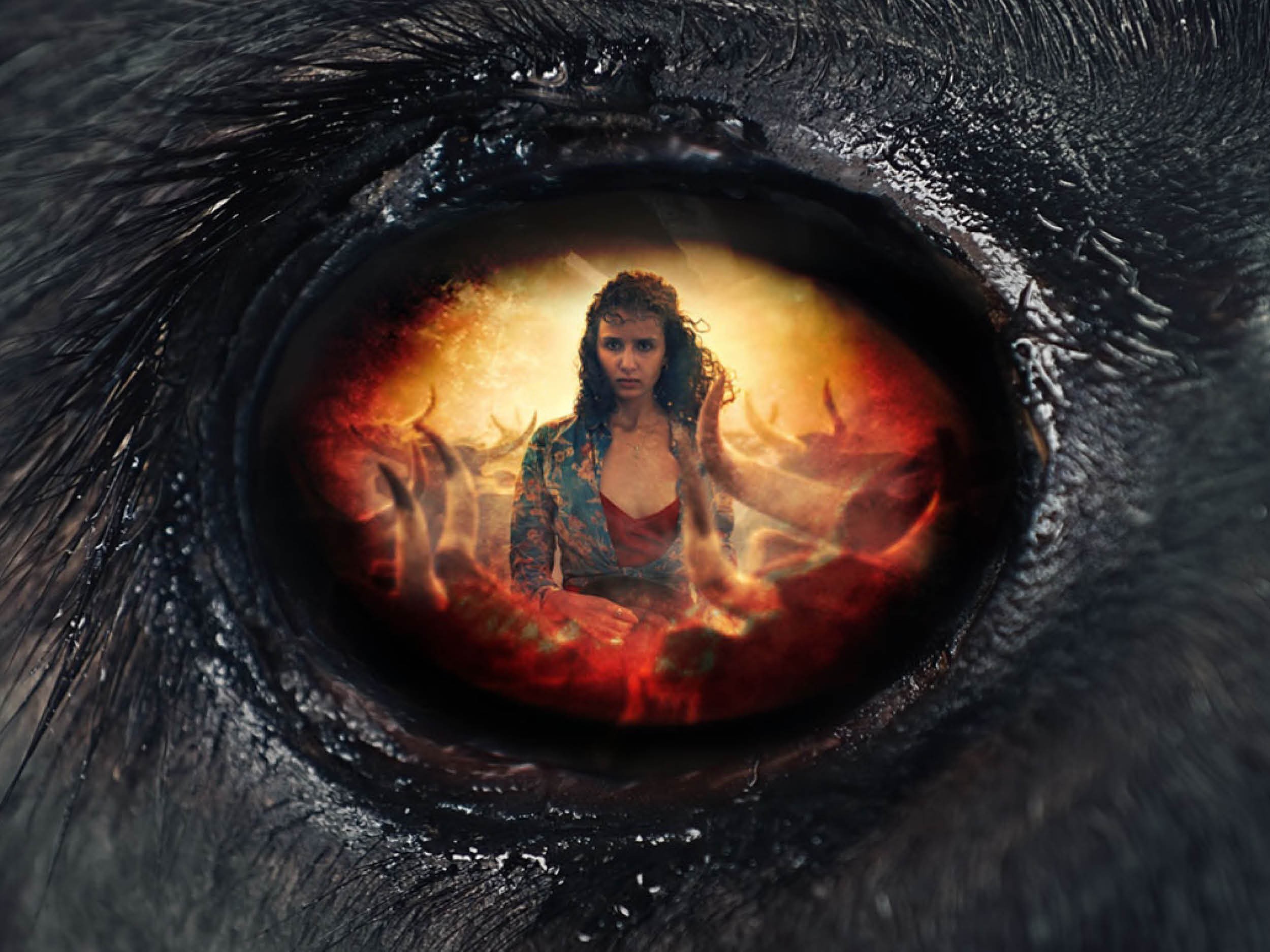 Cannes à Phnom Penh // Animale (Animal) + Q&A w/ Dominique Sigaud