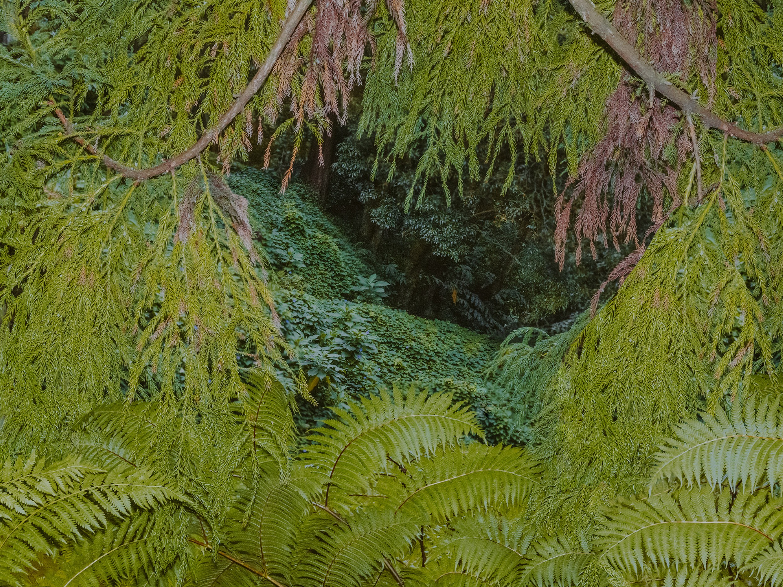 PPP 2025 // Mythologies, by Letizia LE FUR