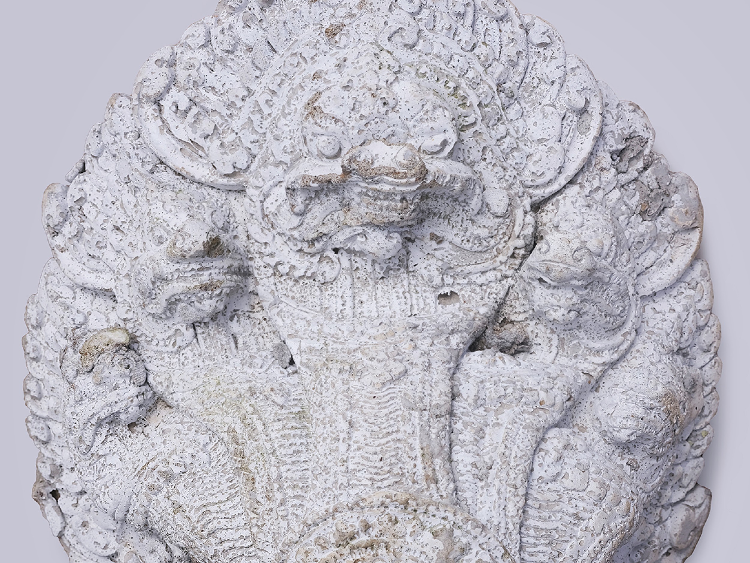 PPP 2025 // The Unresolved Wave - The Mekong Project, by Florent MENG LECHEVALLIER