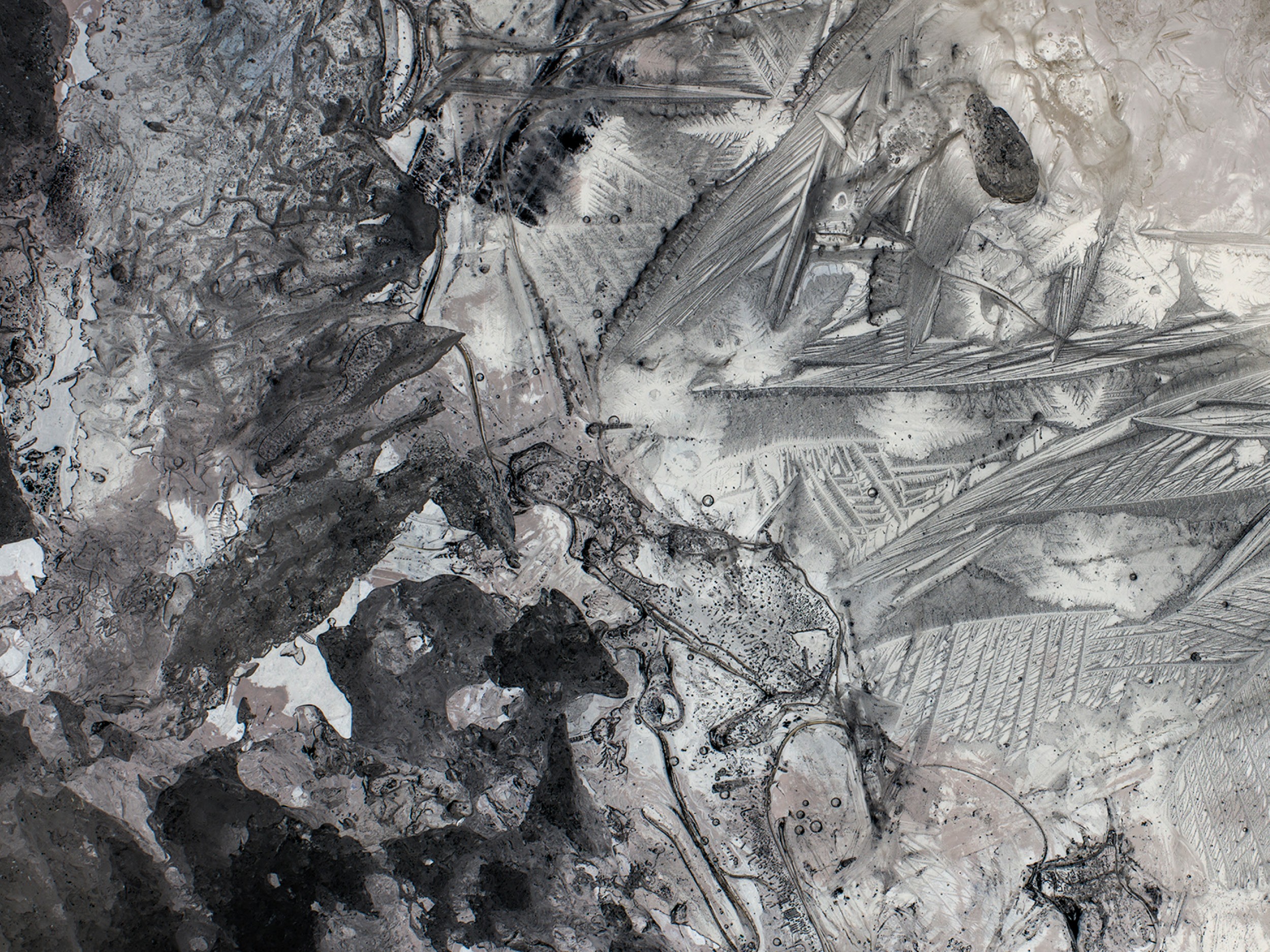 PPP 2025 // Aletsch Negative, by Laurence BONVIN