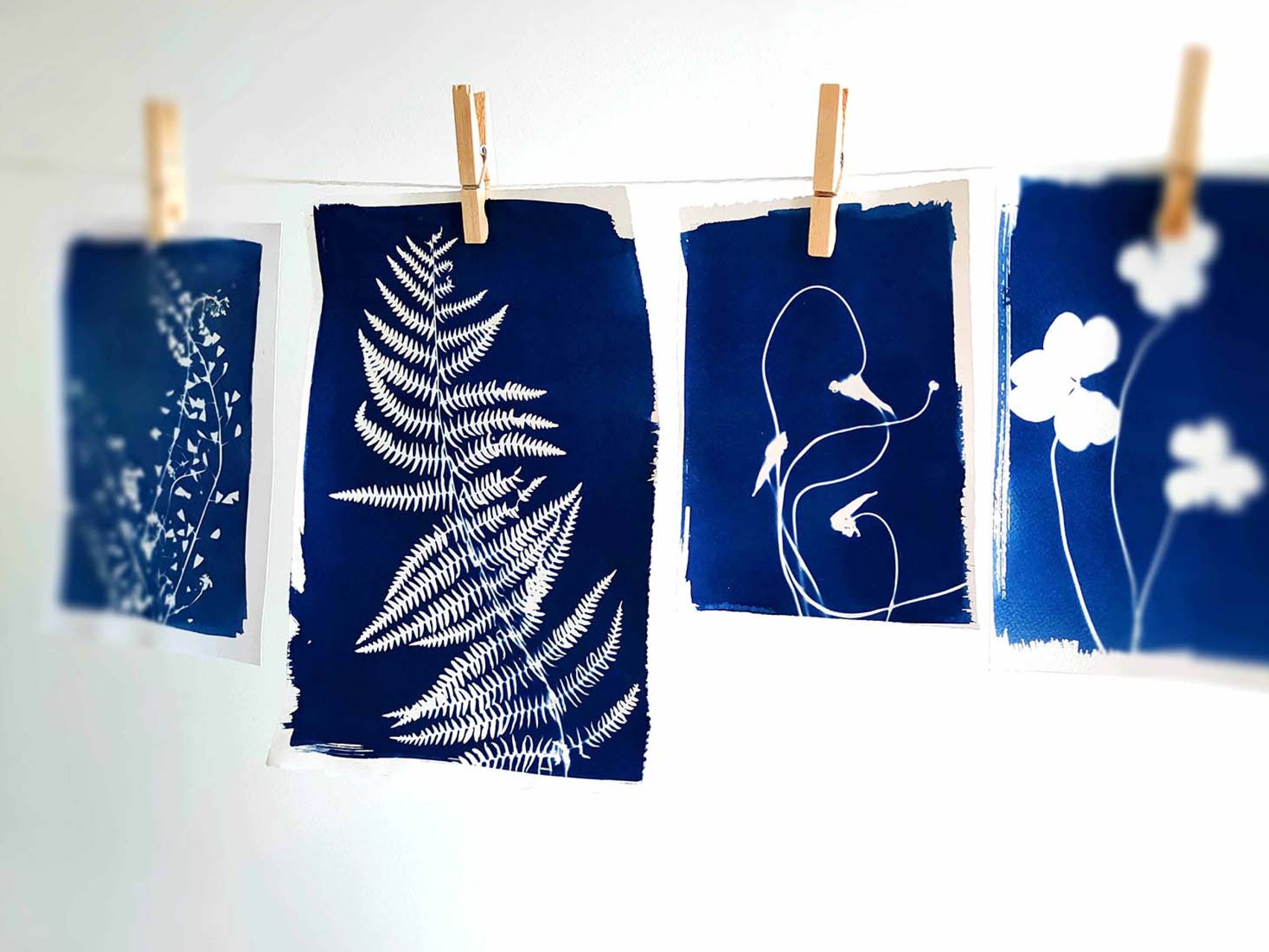 Photographie | Atelier cyanotype avec Florent Meng