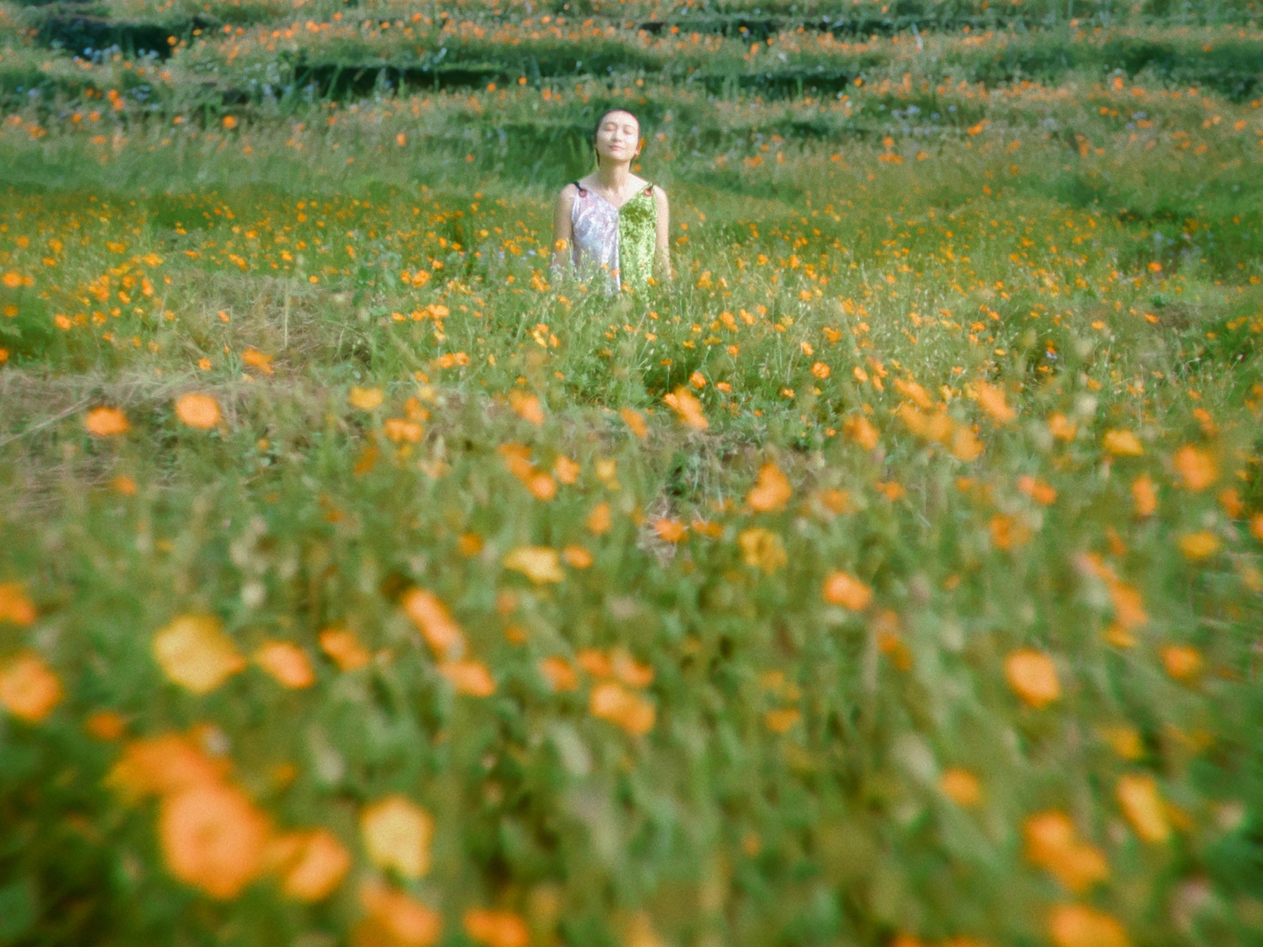 Cycle Cinéma "Visions of Southeast Asia" // Don't Cry Butterfly